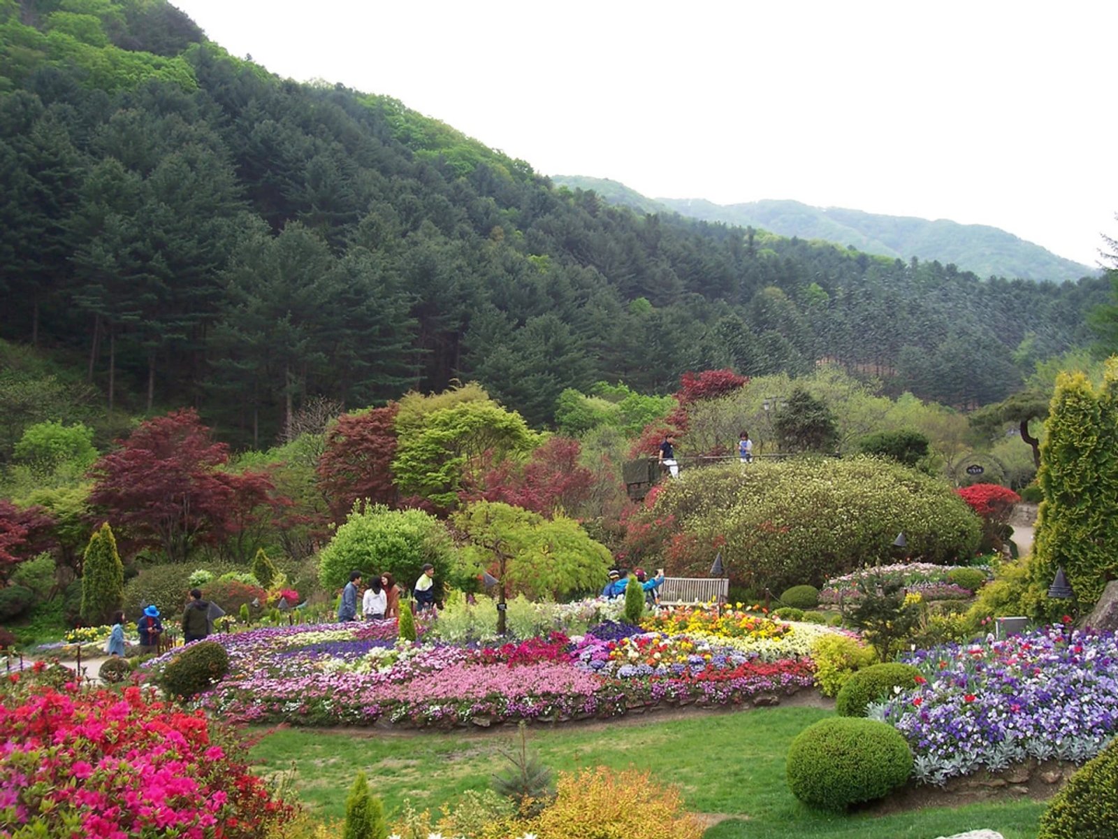 best time for flowers in the garden of morning calm, south korea 2019
