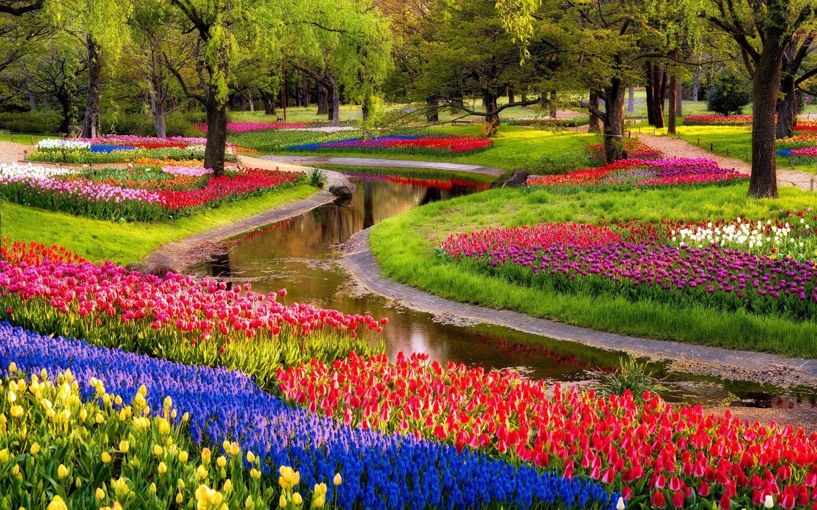 64+ beautiful garden wallpapers on wallpaperplay