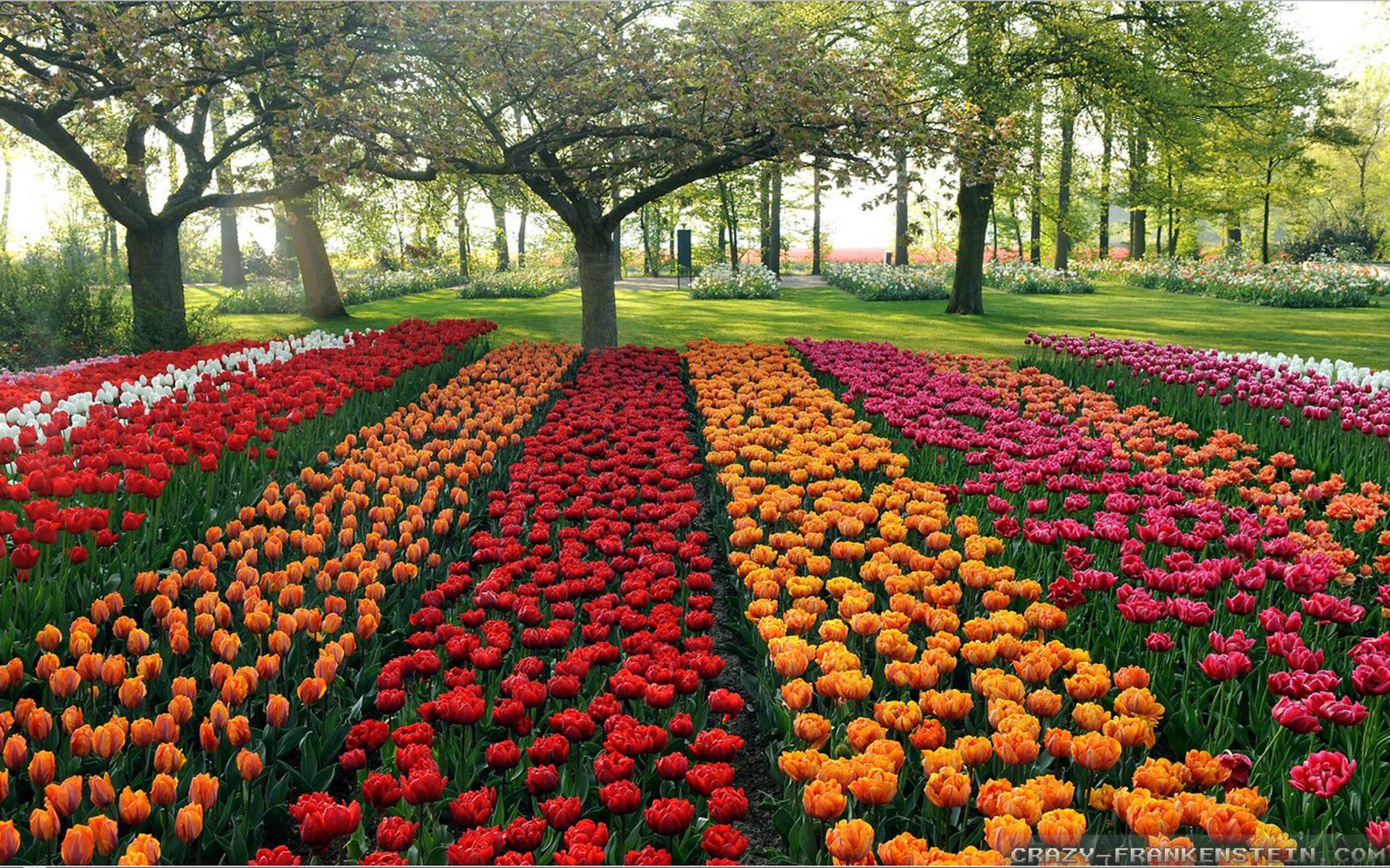 64+ beautiful garden wallpapers on wallpaperplay