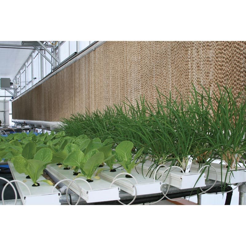 HydroCycle 4" Pro NFT Lettuce Systems - Large - FarmTek