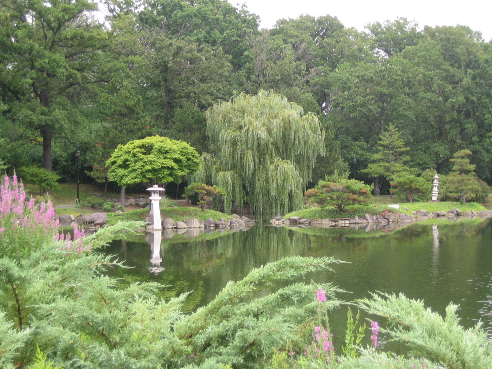 file:buffalo japanese garden - wikimedia commons