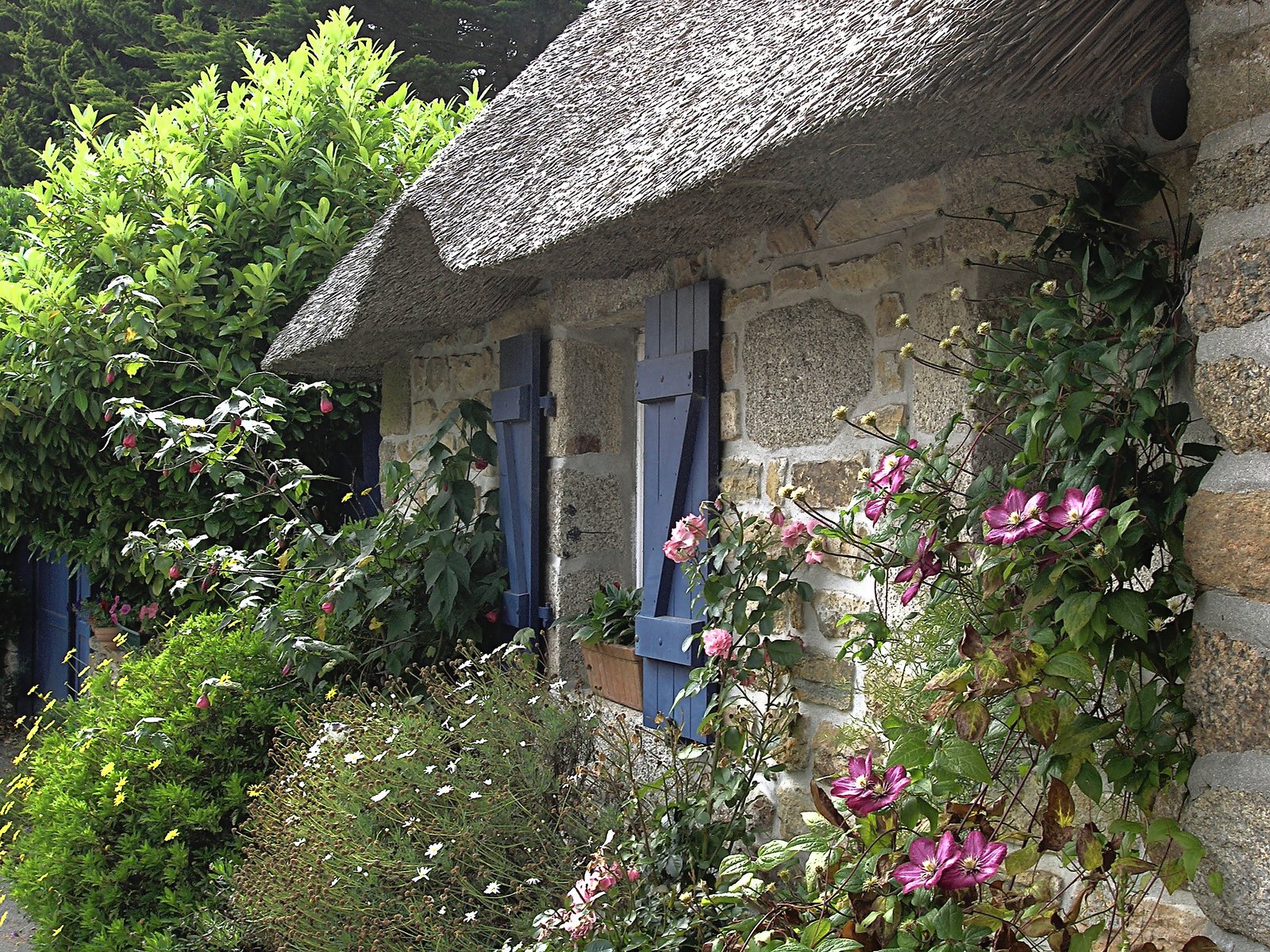 cottage garden - wikipedia