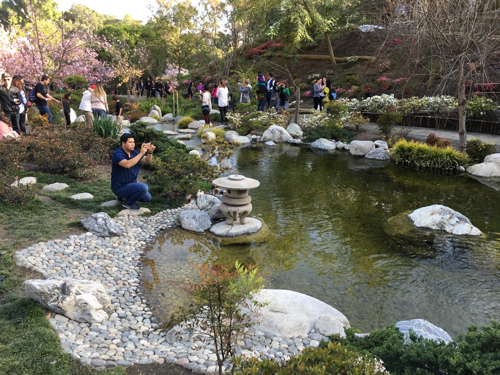 file:japanese friendship garden (balboa park, san diego) 23 2016-05