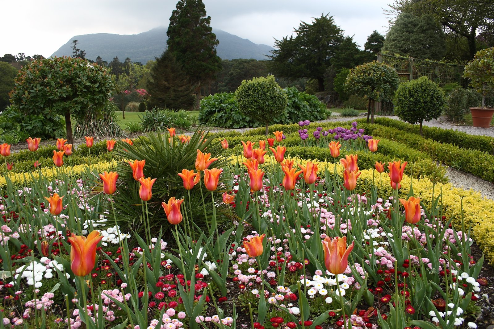 datei:flower garden at muckross house – wikipedia