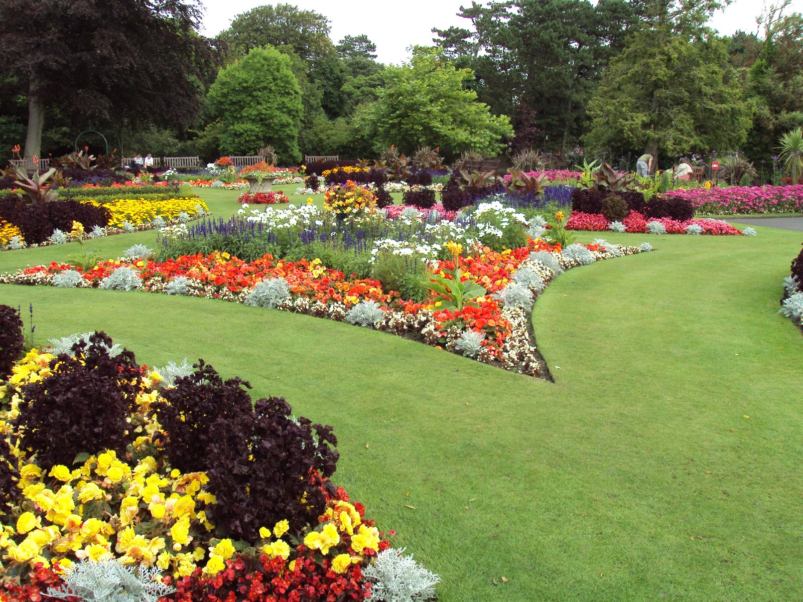flower garden - wikipedia