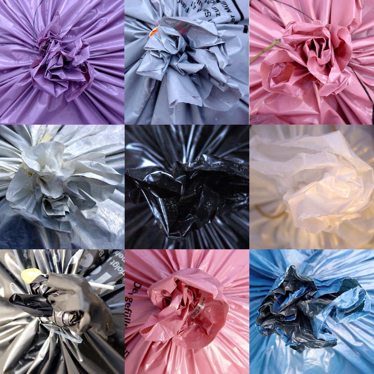 jackson chronicles: desperate for spring. your flower choices