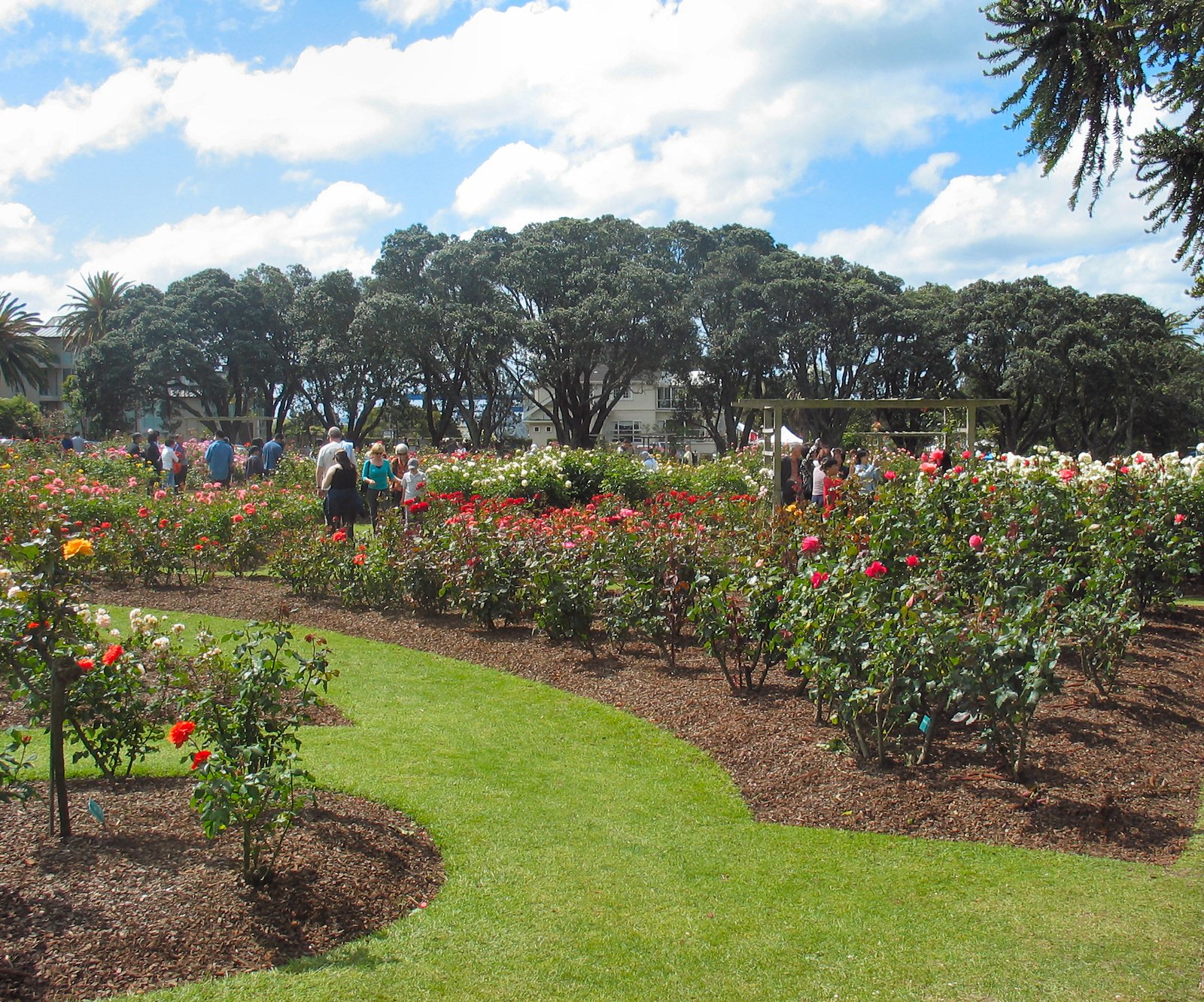 gardening in new zealand - wikipedia