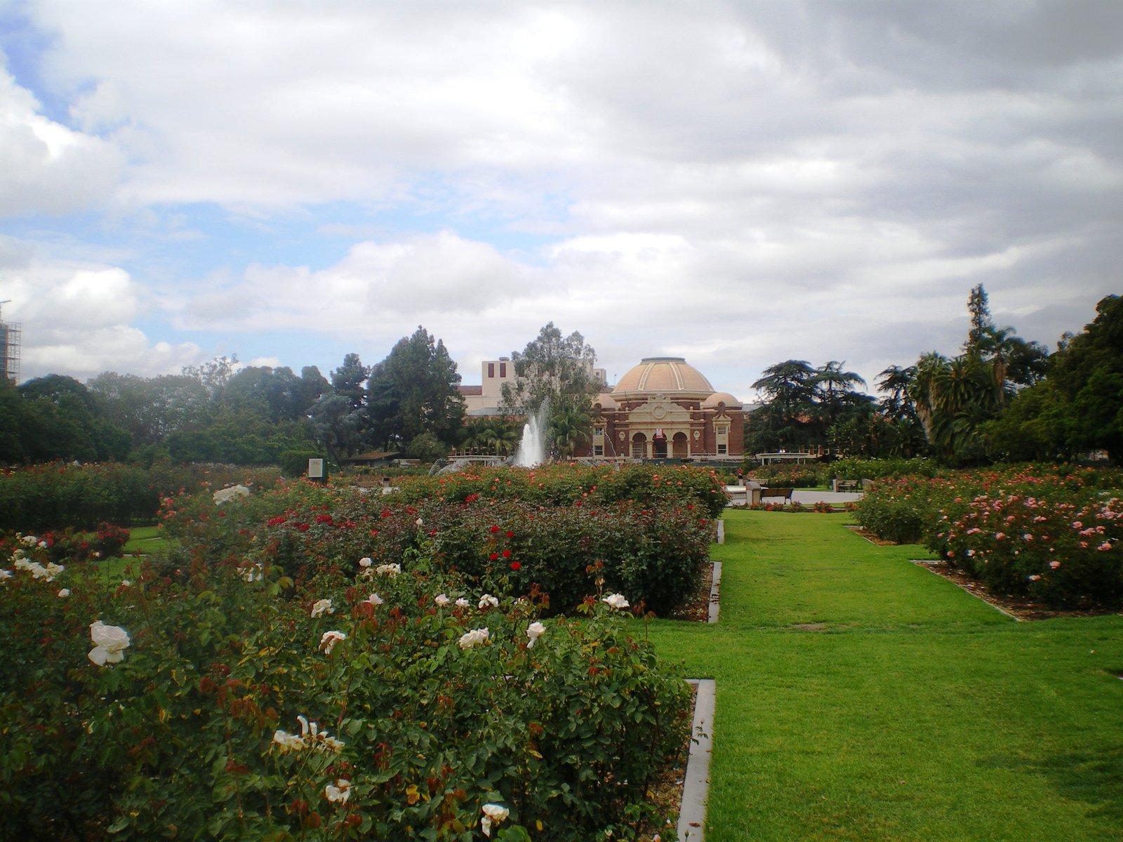 datei:exposition park rose garden, los angeles – wikipedia