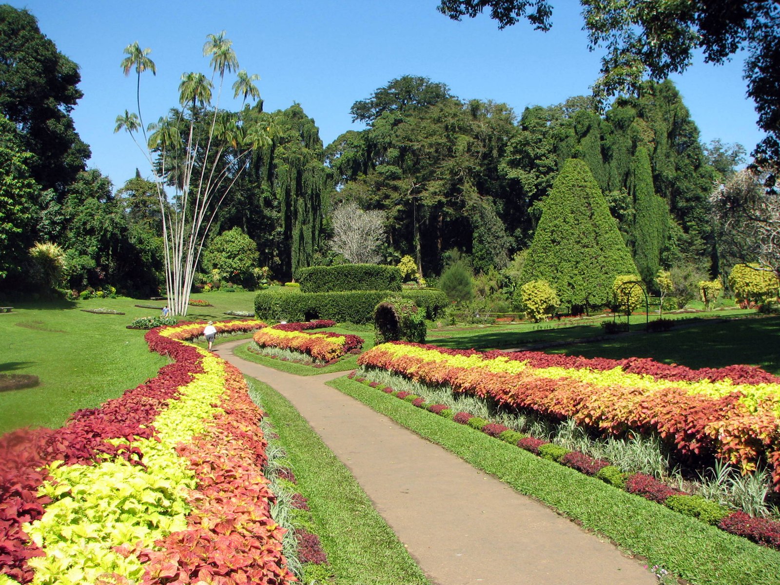 royal botanical gardens, peradeniya - wikipedia