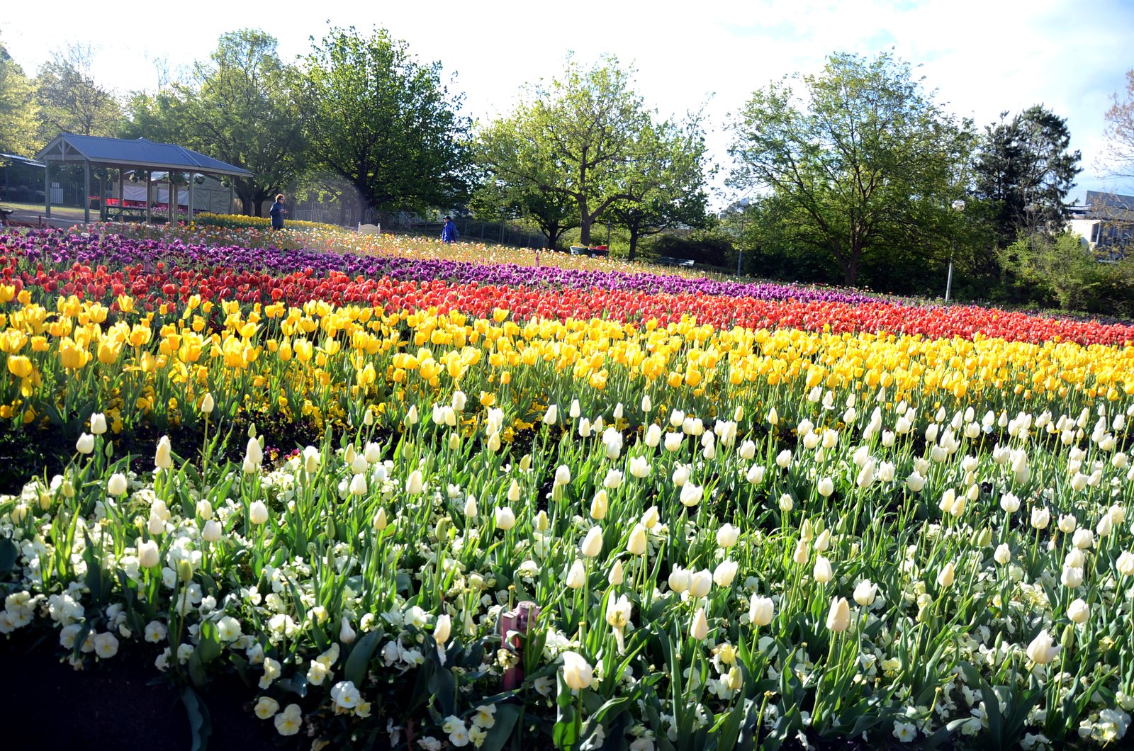 floriade (canberra) - wikipedia