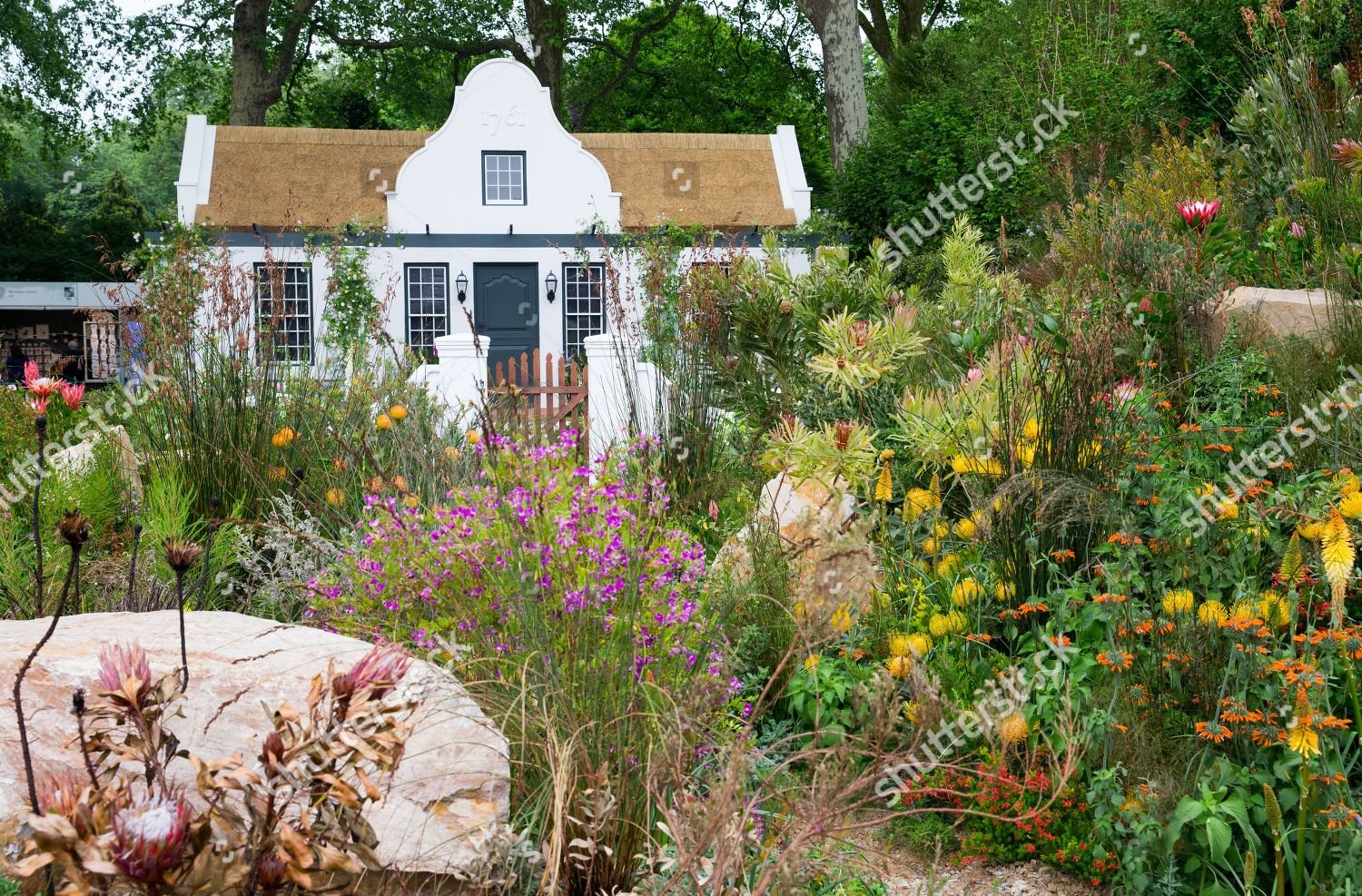trailfinders south african wine estate garden rhs editorial stock