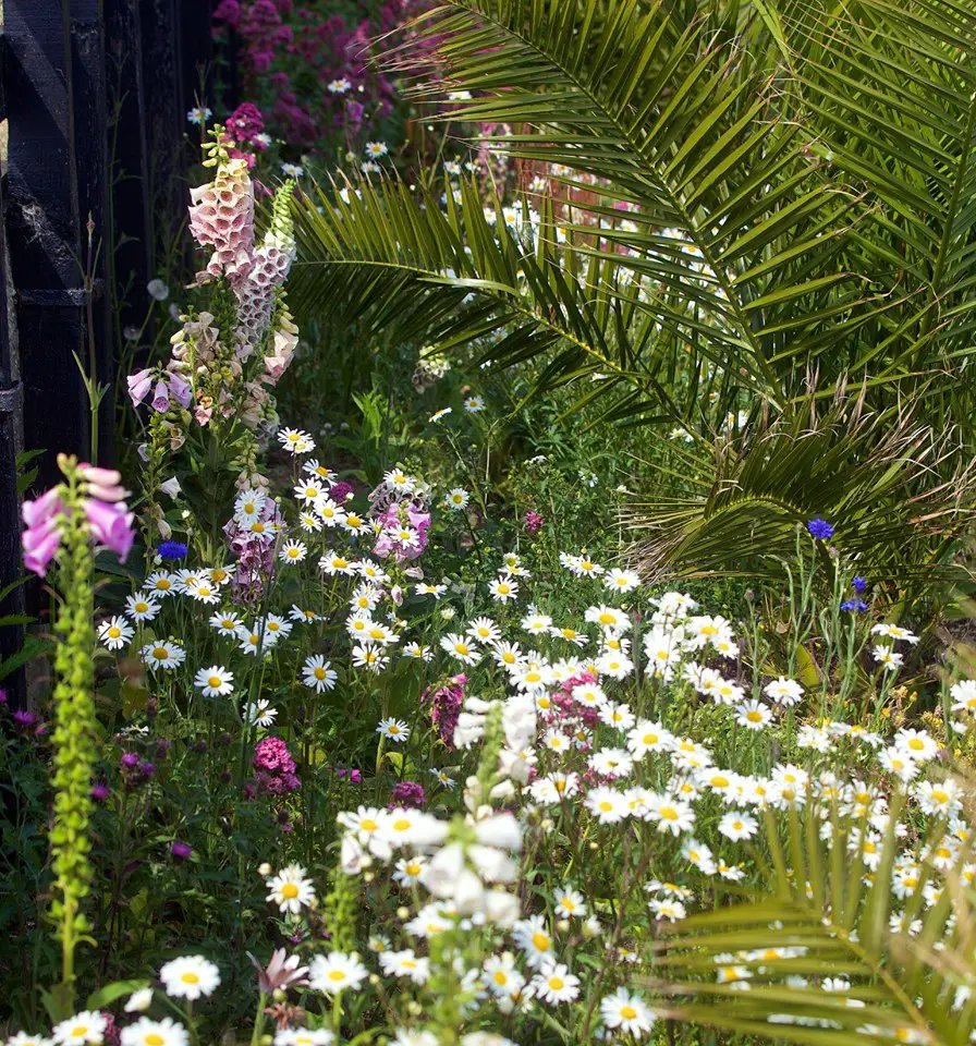 weed-infested flower beds replaced with 300 plants, grown by hand