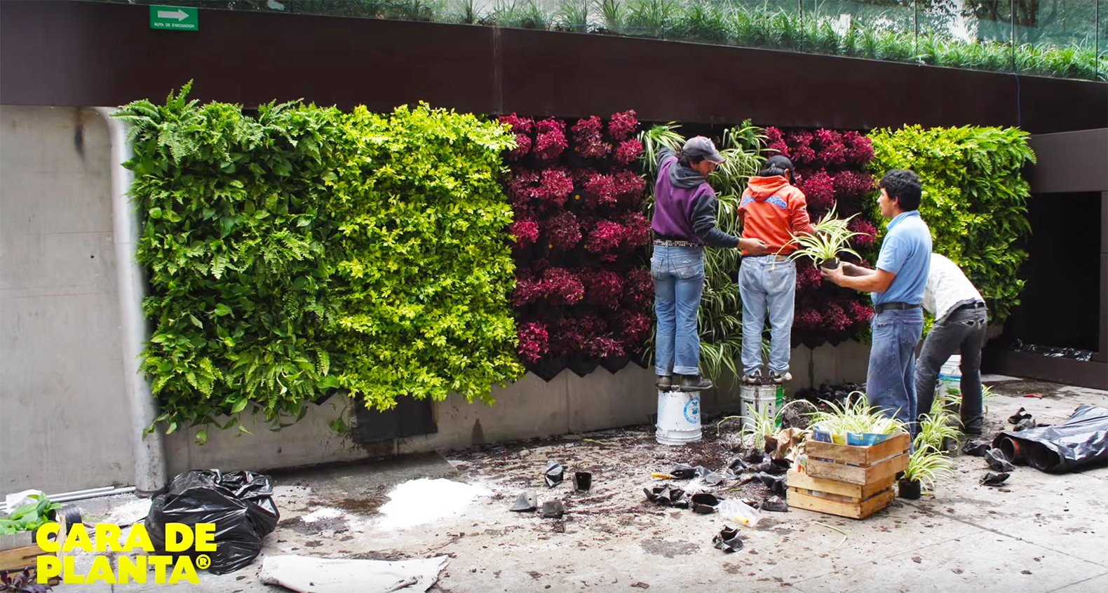 vertical gardens