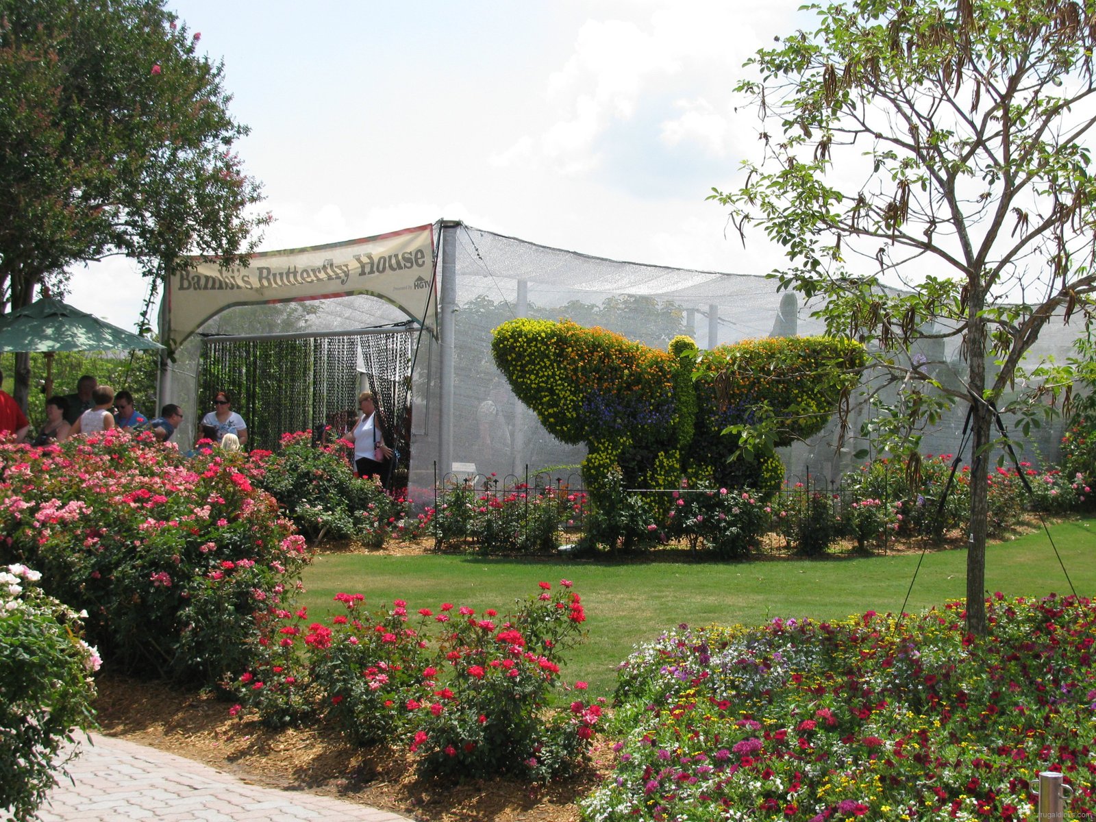 butterfly house « extra walt disney world magic