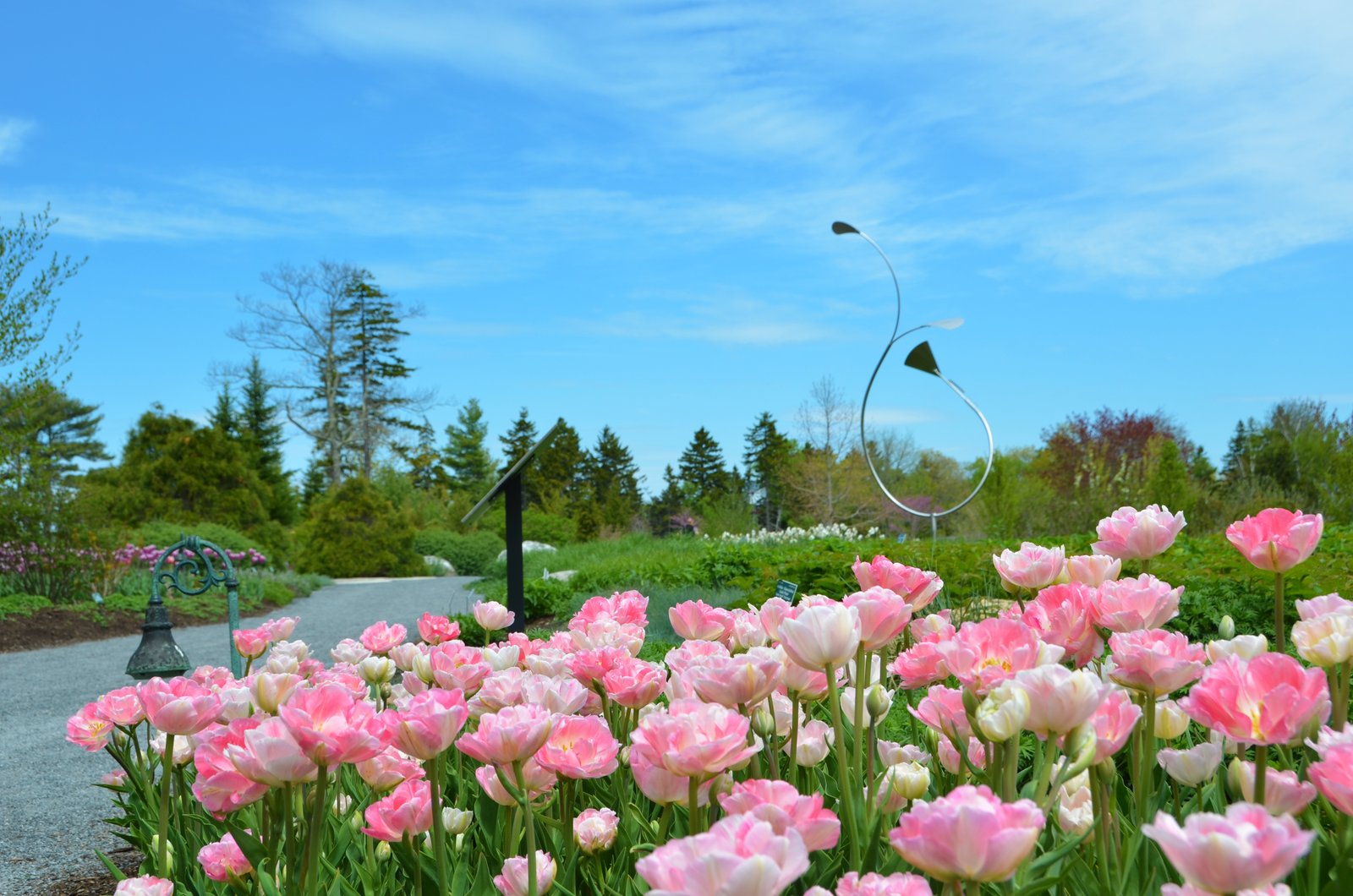 maine's premier botanical garden | coastal maine botanical gardens