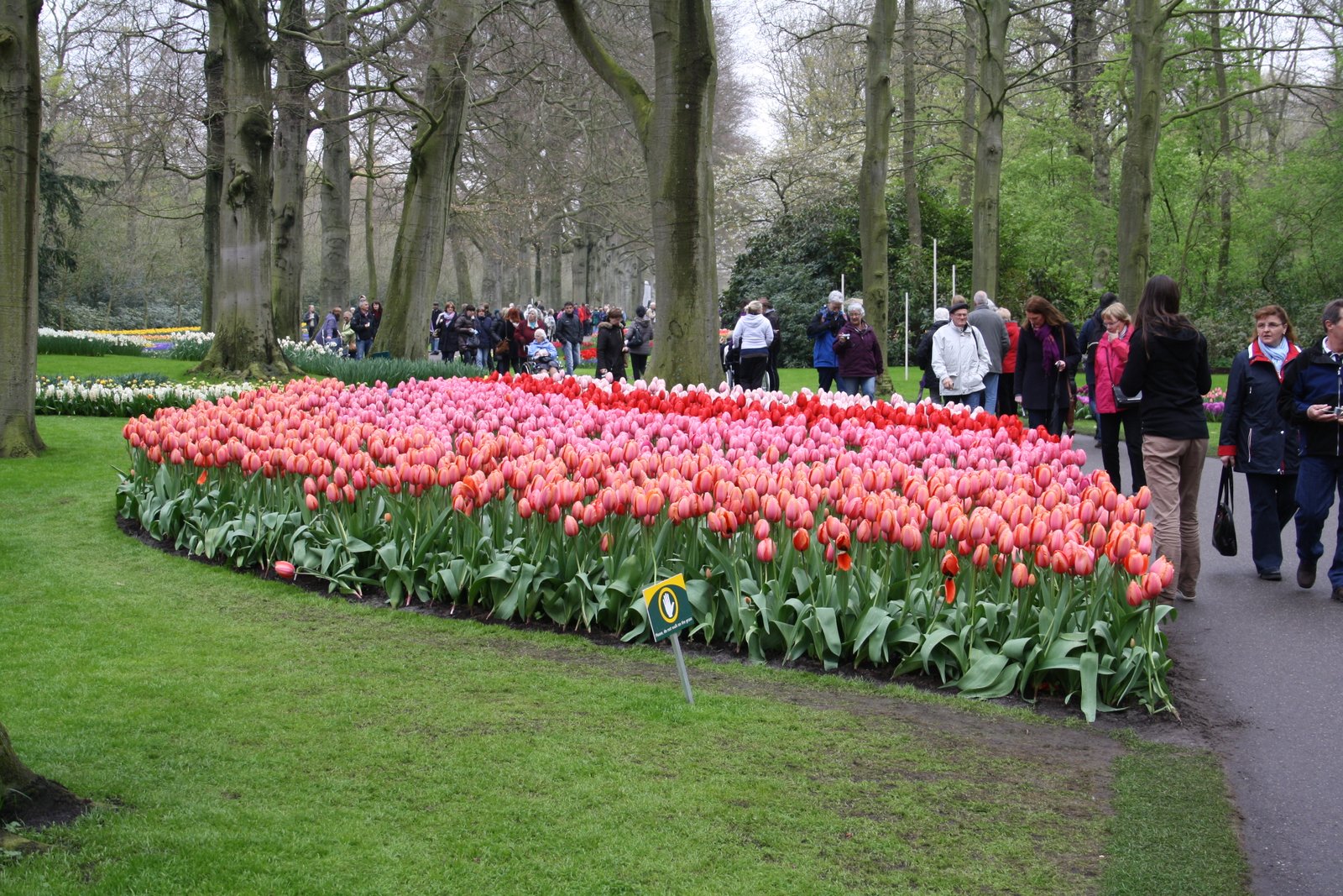 elsbroekerpolder – elsbroekerwei