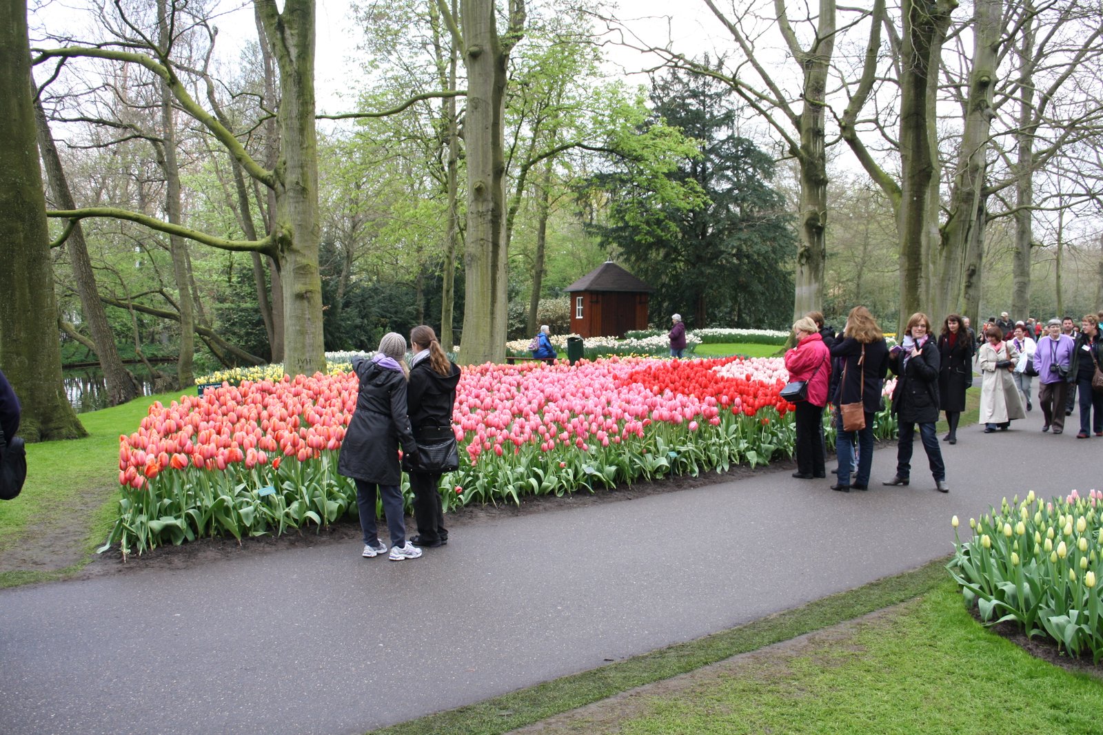 elsbroekerpolder – elsbroekerwei