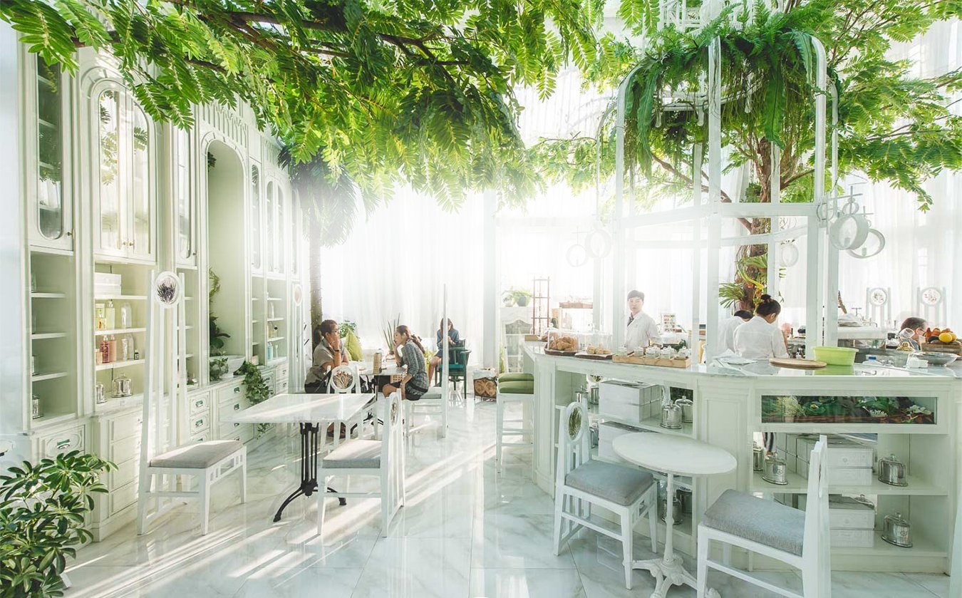 cafe | organika
