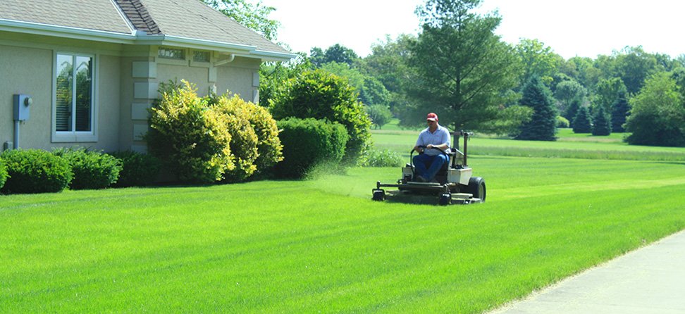 lawn care - fitzwater tree and lawn care
