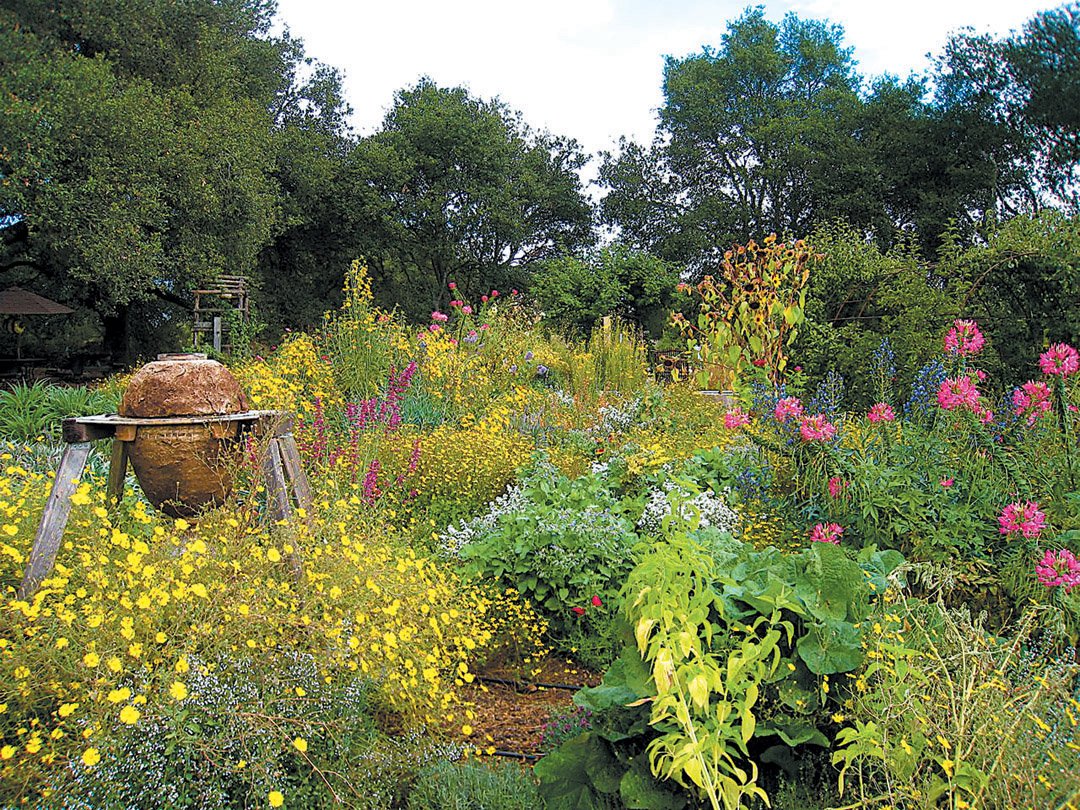 pacific horticulture society | the melissa garden: a sanctuary and