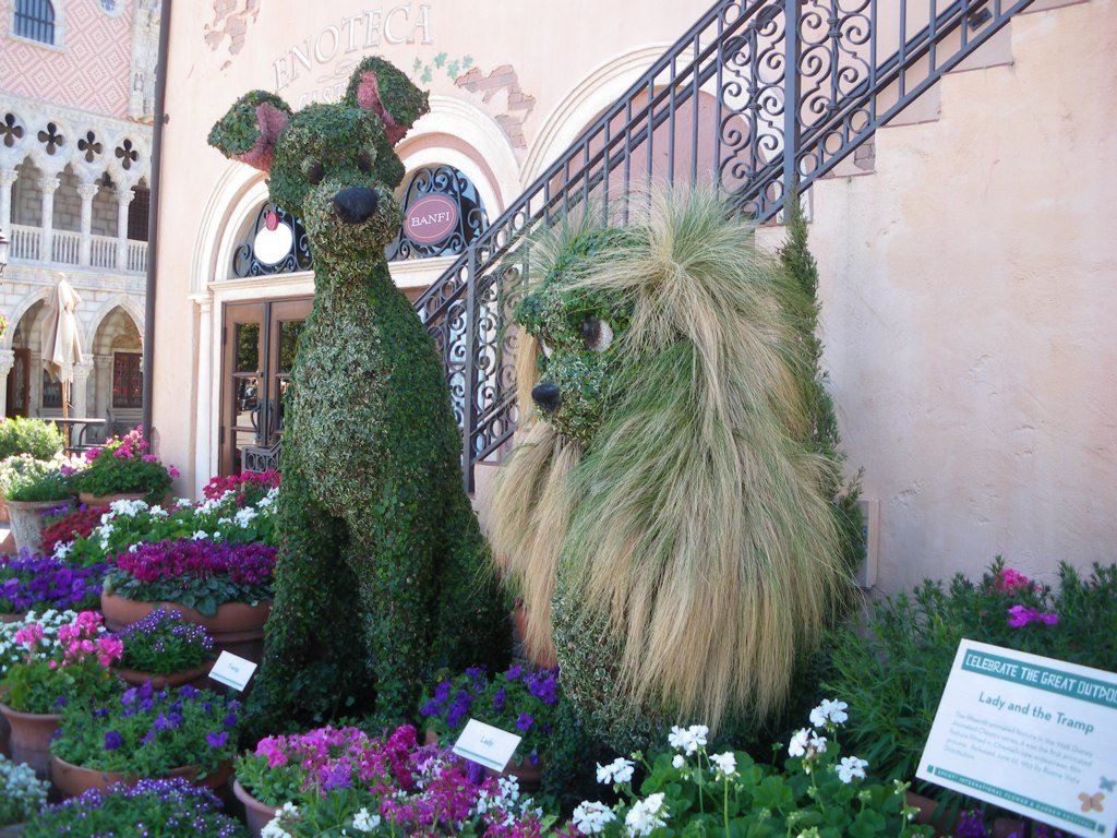wordless wednesday: epcot flower and garden festival is thinking