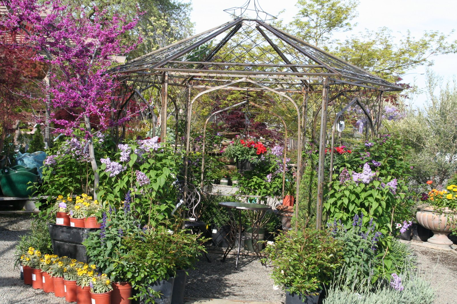 about us | western garden nursery