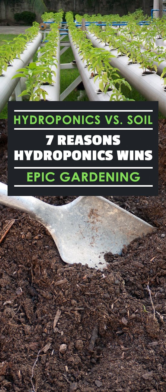 Hydroponics vs. Soil: 7 Reasons Hydroponics Wins | Epic ...