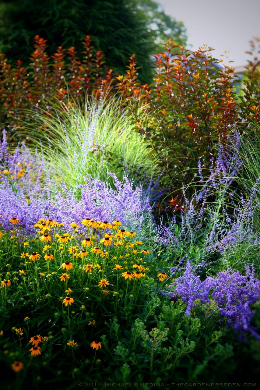 welcome home! johnson's garden: revisiting a renovation, one year