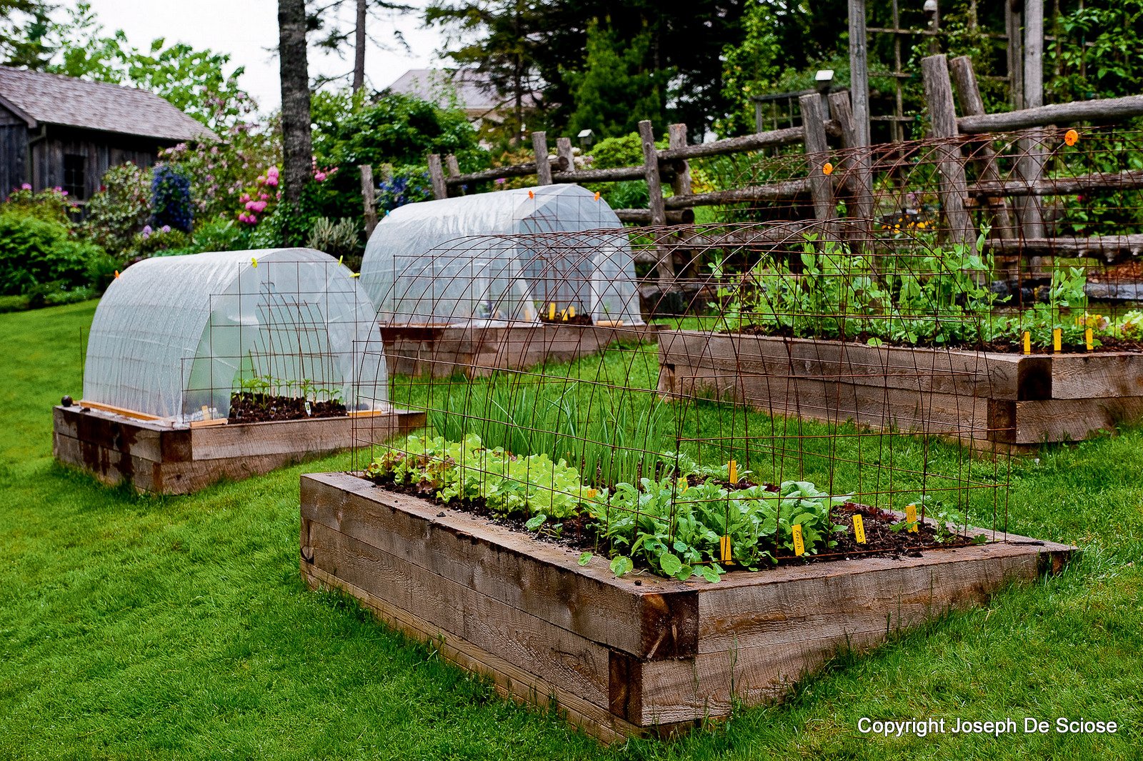 how to grow vegetables all year long (even in winter!)