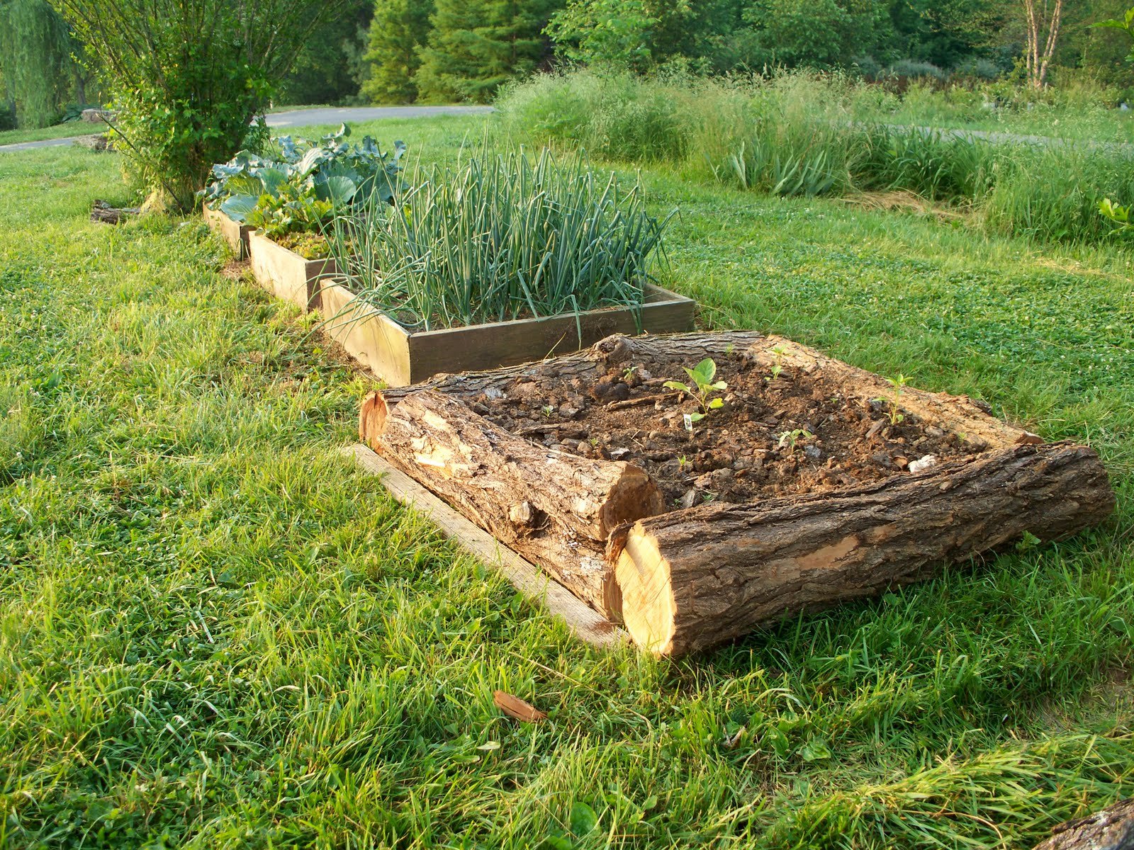 28 amazing diy raised bed gardens - a piece of rainbow