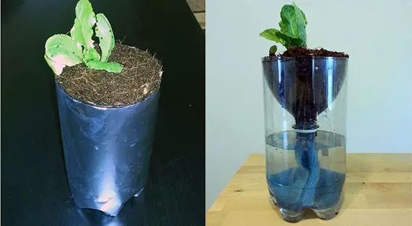Hydroponic Systems – Hydroponics Gardening Equipment ...