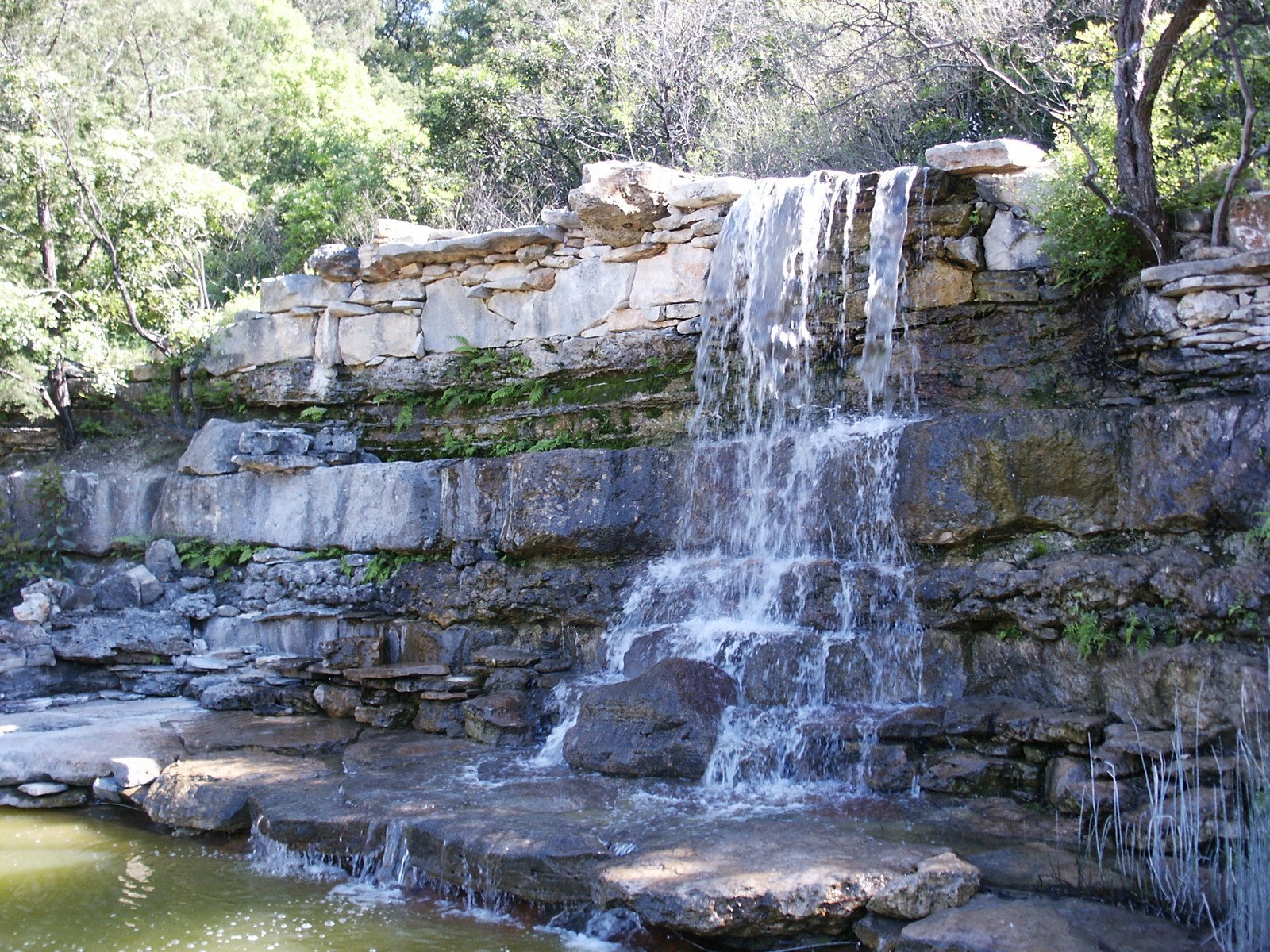 zilker botanical garden - austin, tx - zilker park visitors guide