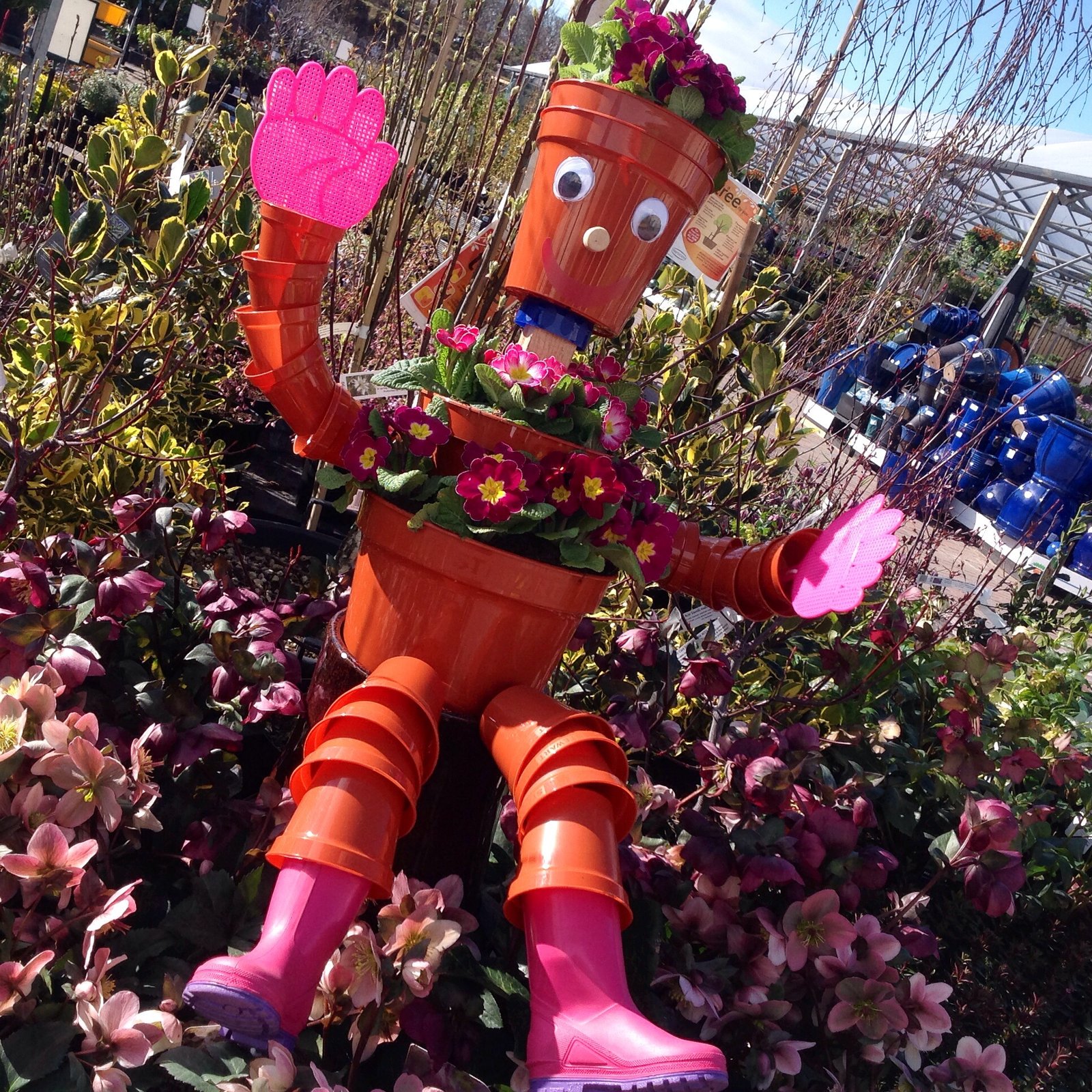 plants, seeds, bulbs, trees and shrubs | simpsons garden centre