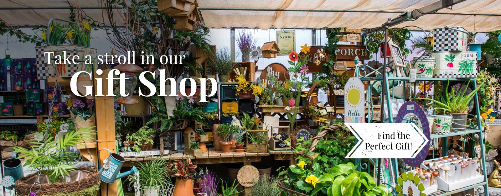 ross plants & flowers | greenhouse & gift shop | orefield pa