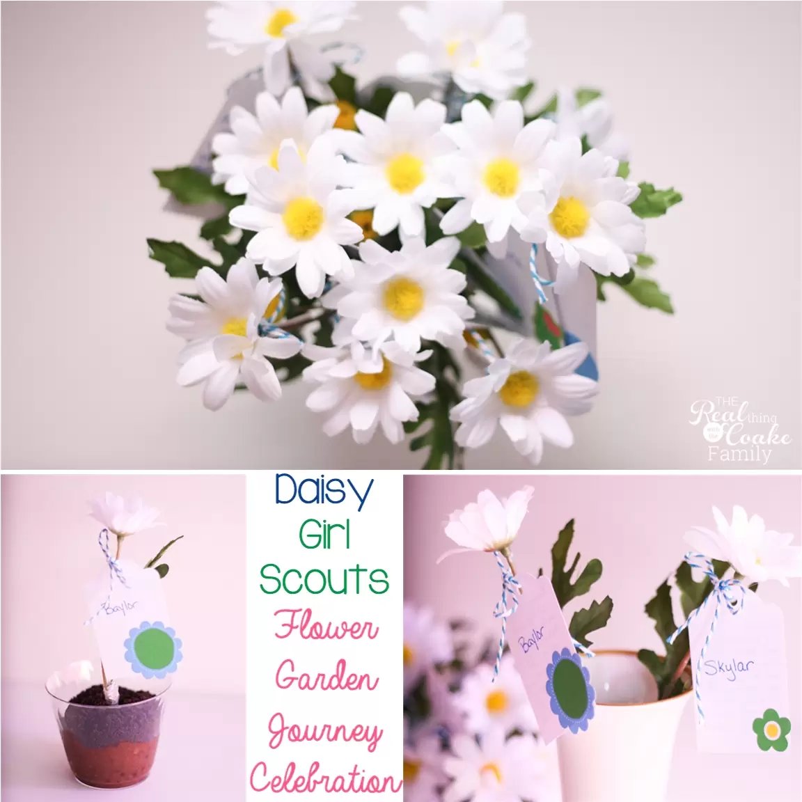 daisy girl scouts ~ flower garden journey celebration
