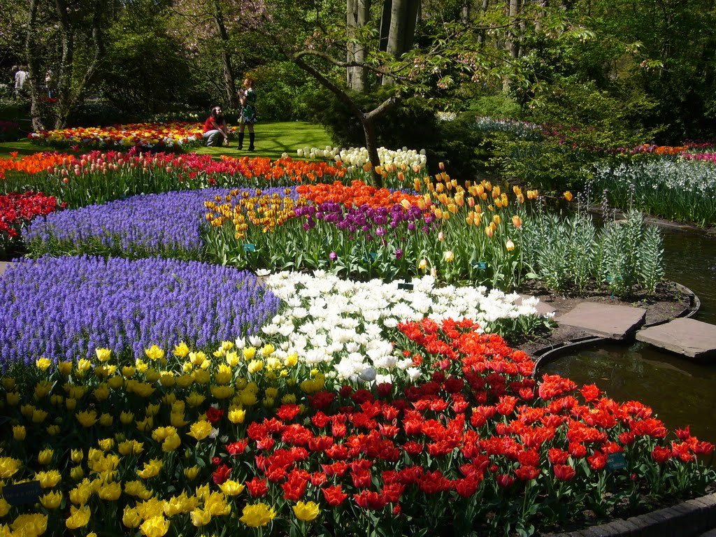 spring flower garden ideas house design and office : cheap flower