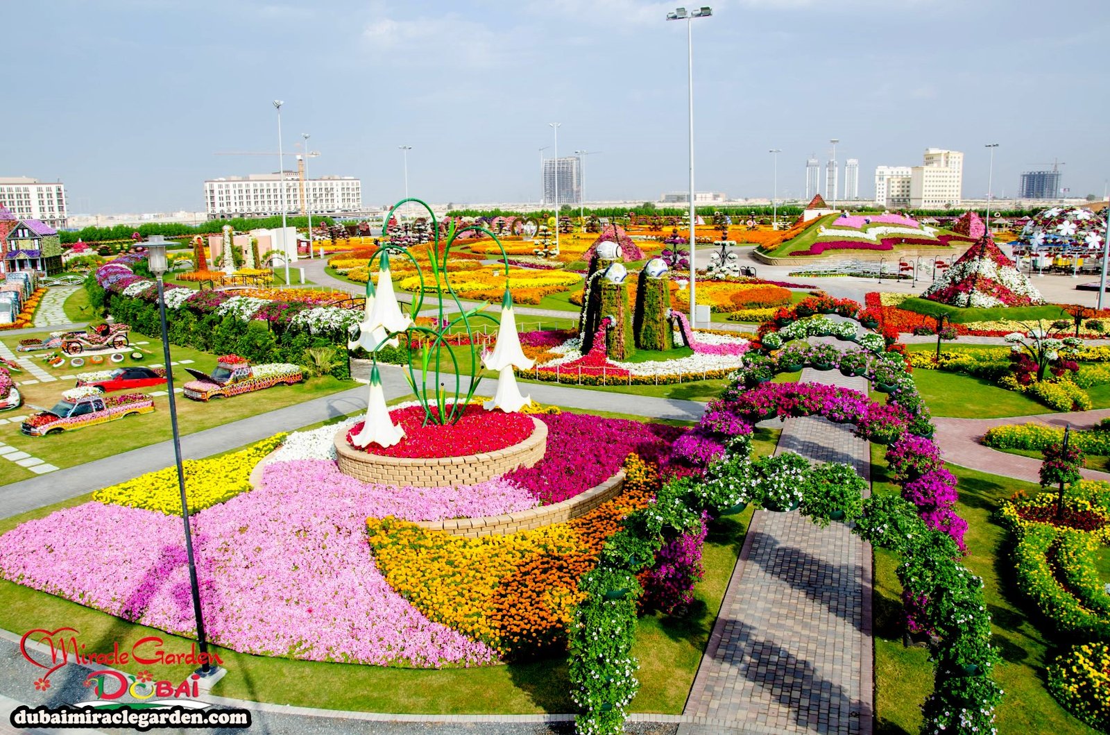 dubai miracle garden: the world's biggest natural flower garden with