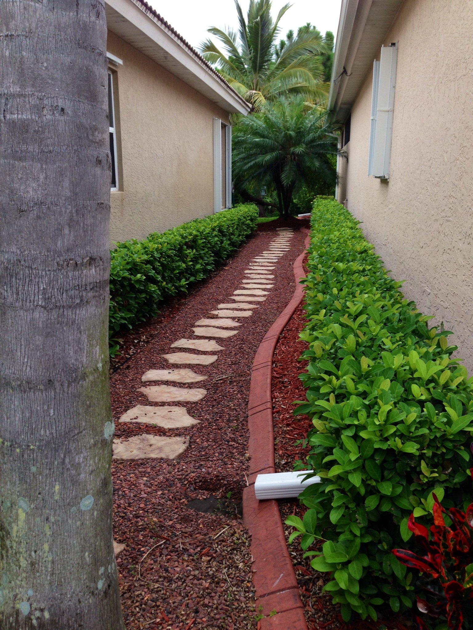 » landscape design ideas