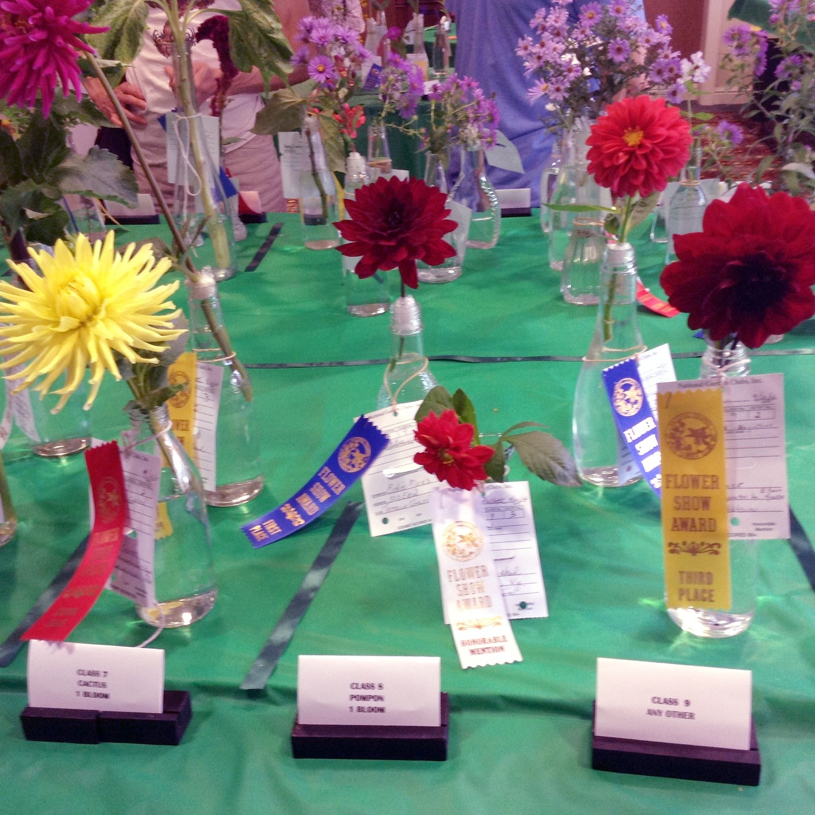 louisville council 9/14 | the garden club of kentucky