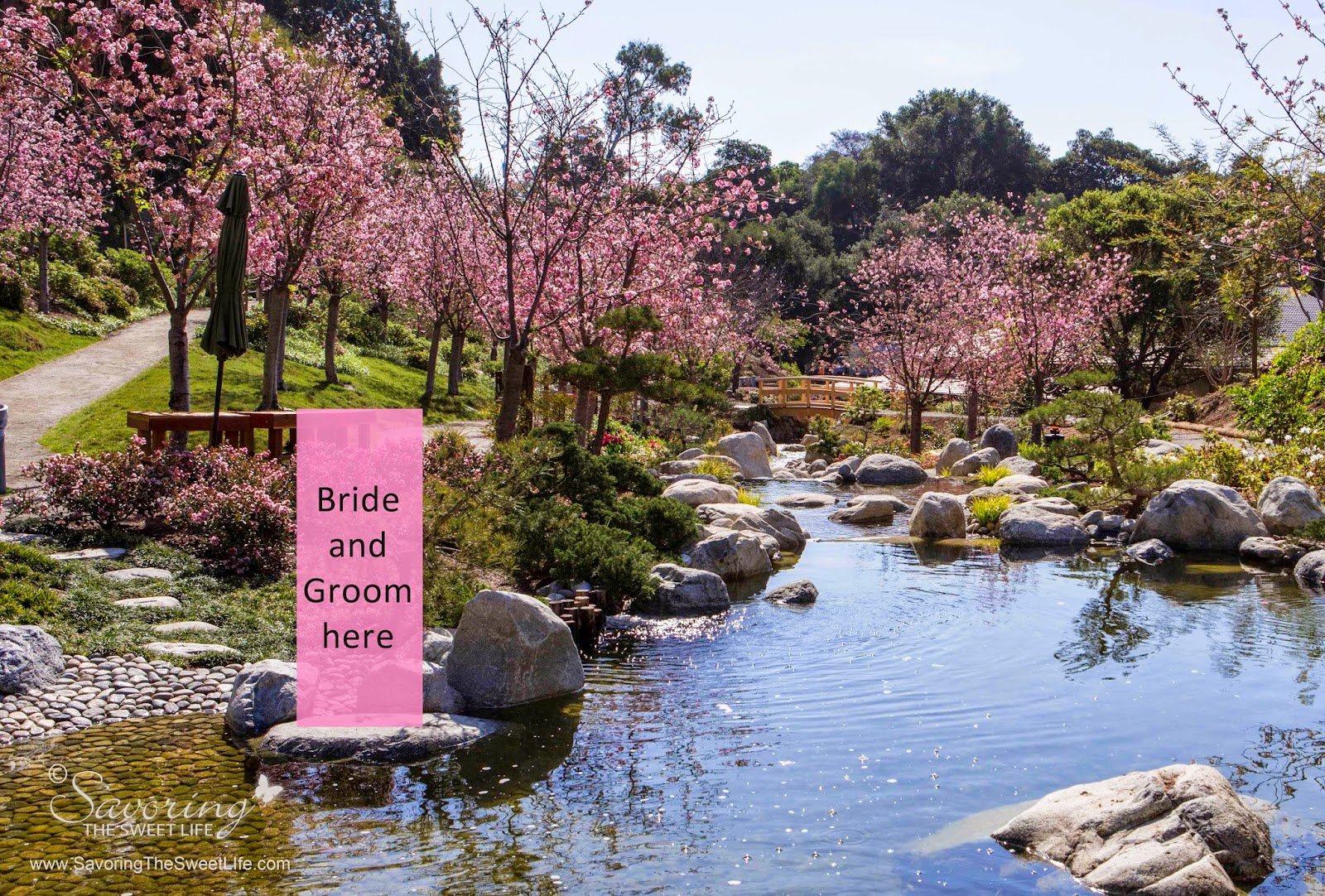 balboa park's japanese friendship garden wedding idea: san diego