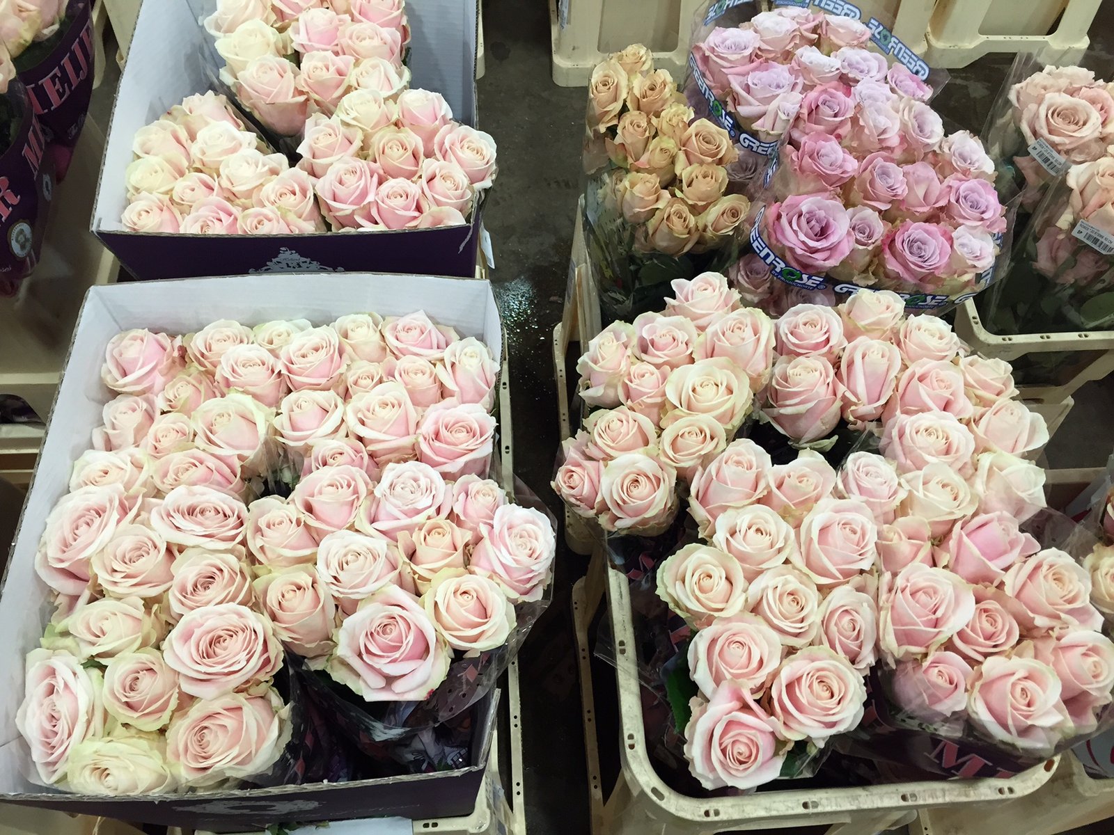 navigating the new covent garden market