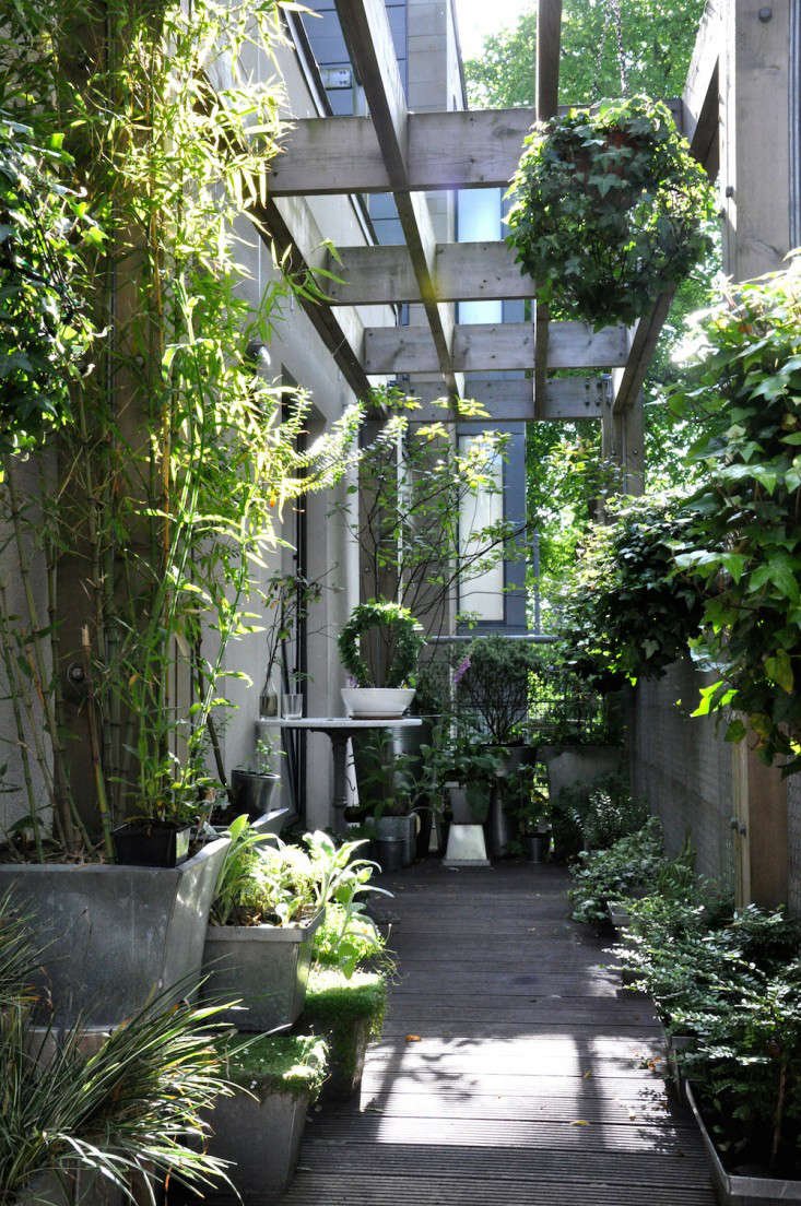 best amateur small garden winner: ashley hamilton - gardenista