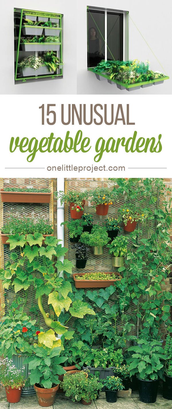 15 unusual vegetable garden ideas