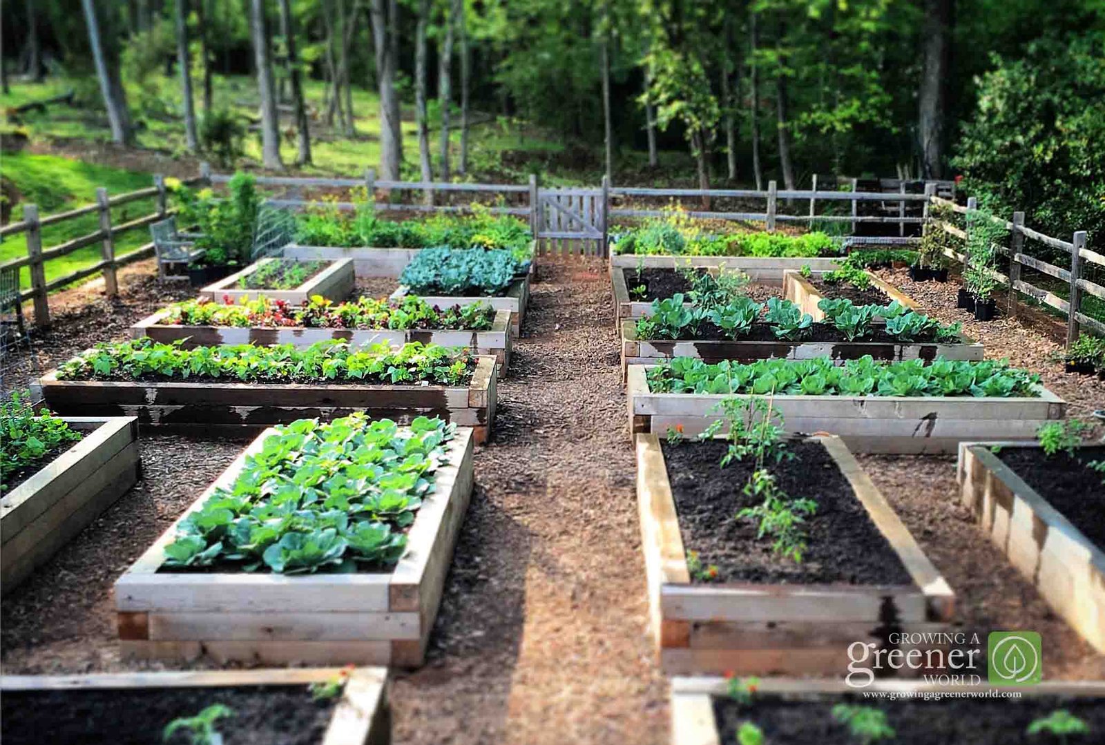 three key benefits of gardening in raised beds - growing a greener