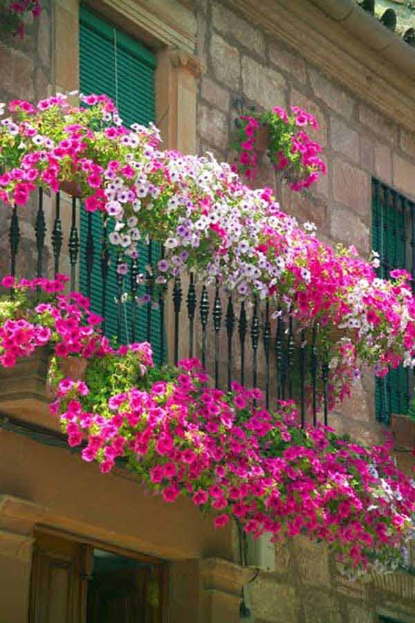 top 23 spectacular balcony gardens that you must see - amazing diy