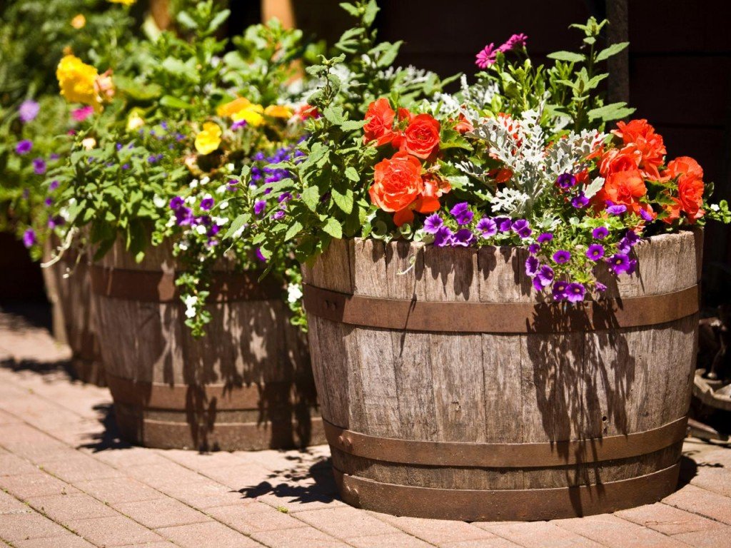 wildly whimsical barrel planter ideas - garden lovers club