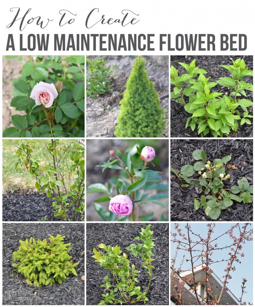 create a low maintenance flower bed (+ our front yard progress