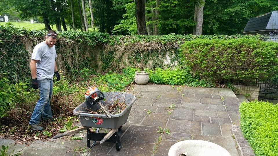 landscaping job for house at the ohio state university