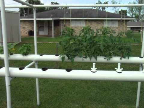 DIY Backyard Hydroponics System Made From PVC Pipe | Do It ...
