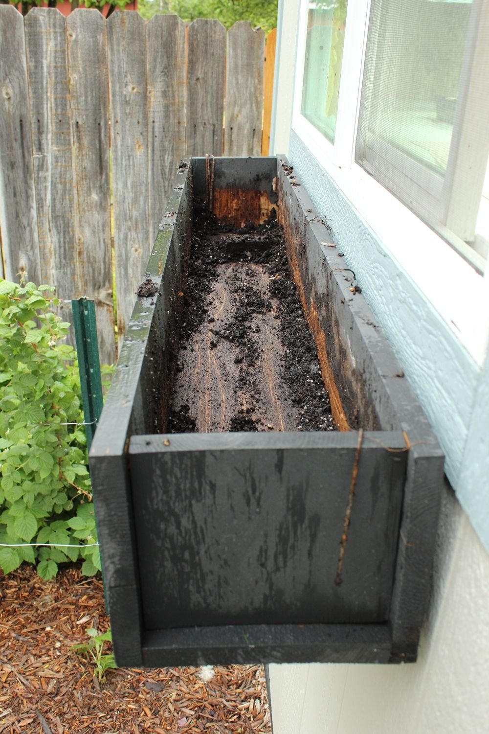 step-by-step guide to planting a window box